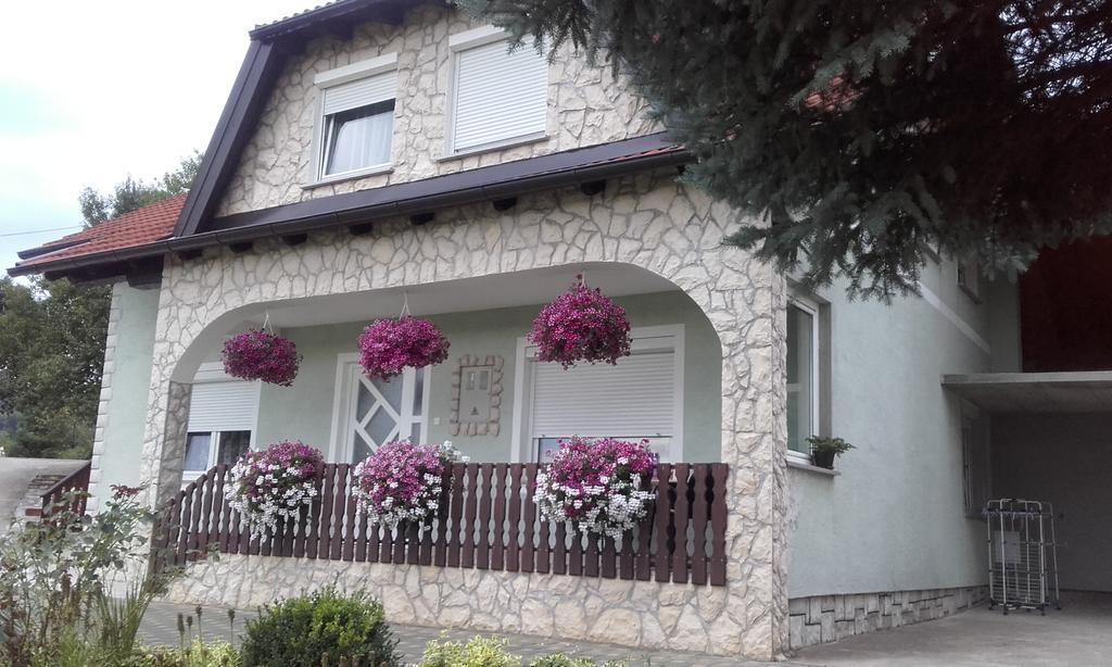 Guesthouse Miha Раковица Екстериор снимка